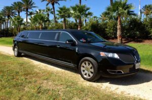 Black limo parked with Houston skyline in the background.