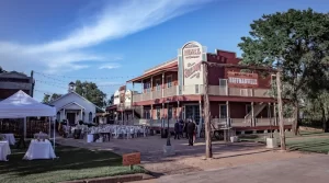Silver Sycamore (Near HOU in Pasadena)